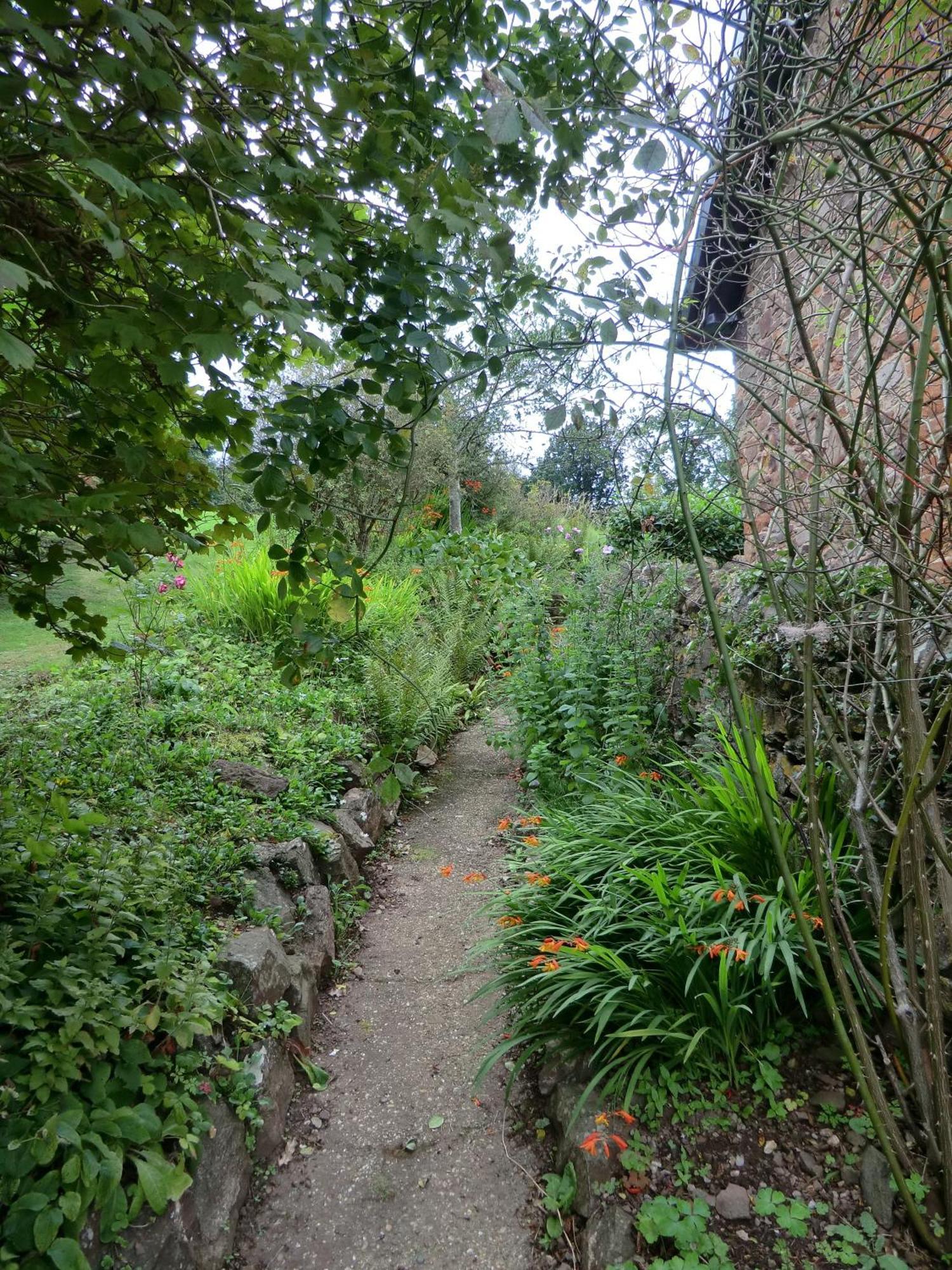 Castle Of Comfort Hotel Nether Stowey Esterno foto